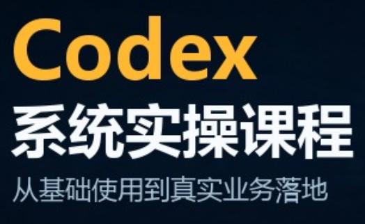 codex系统实操课程(更新10月)-三零资源