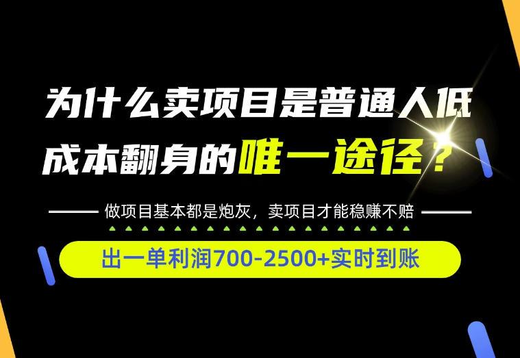 普通人如何靠互联网賺取自己的第一桶金！全类目实操型教学，看完你全都懂了！【揭秘】-三零资源