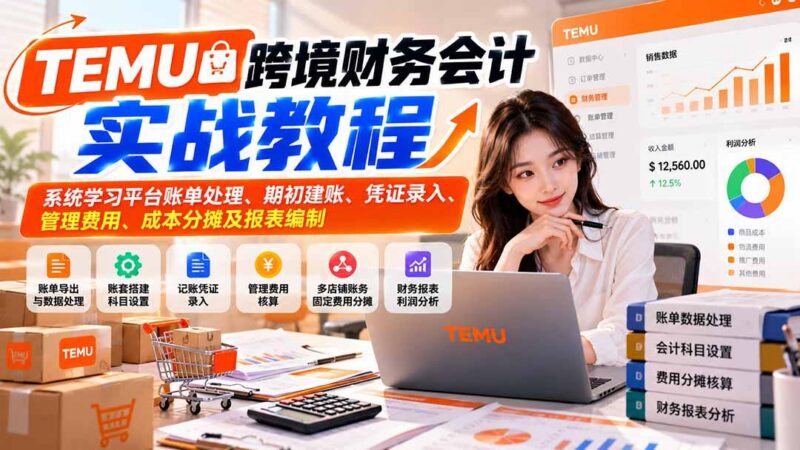 TEMU跨境财务会计实战教程:系统学习平台账单处理、期初建账、凭证录入、管理费用、成本分摊及报表编制-三零资源
