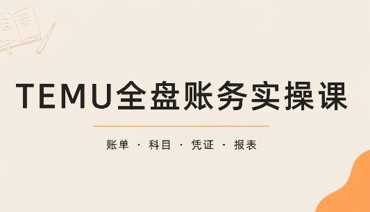 TEMU全盘账务实操课：账单导出、科目设置、利润核算-三零资源